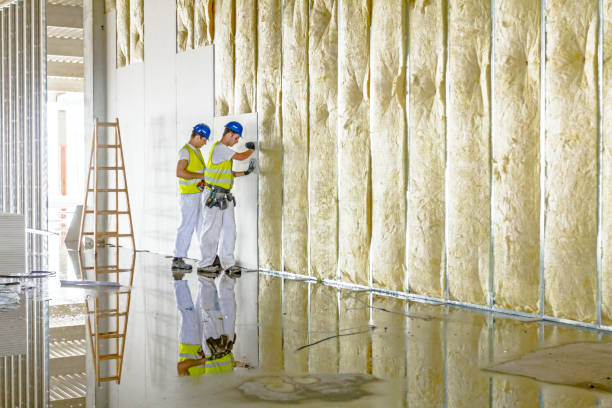 Best Insulation Maintenance and Repair in Tomahawk, WI
